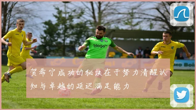 贺希宁成功的秘诀在于努力清醒认知与卓越的延迟满足能力